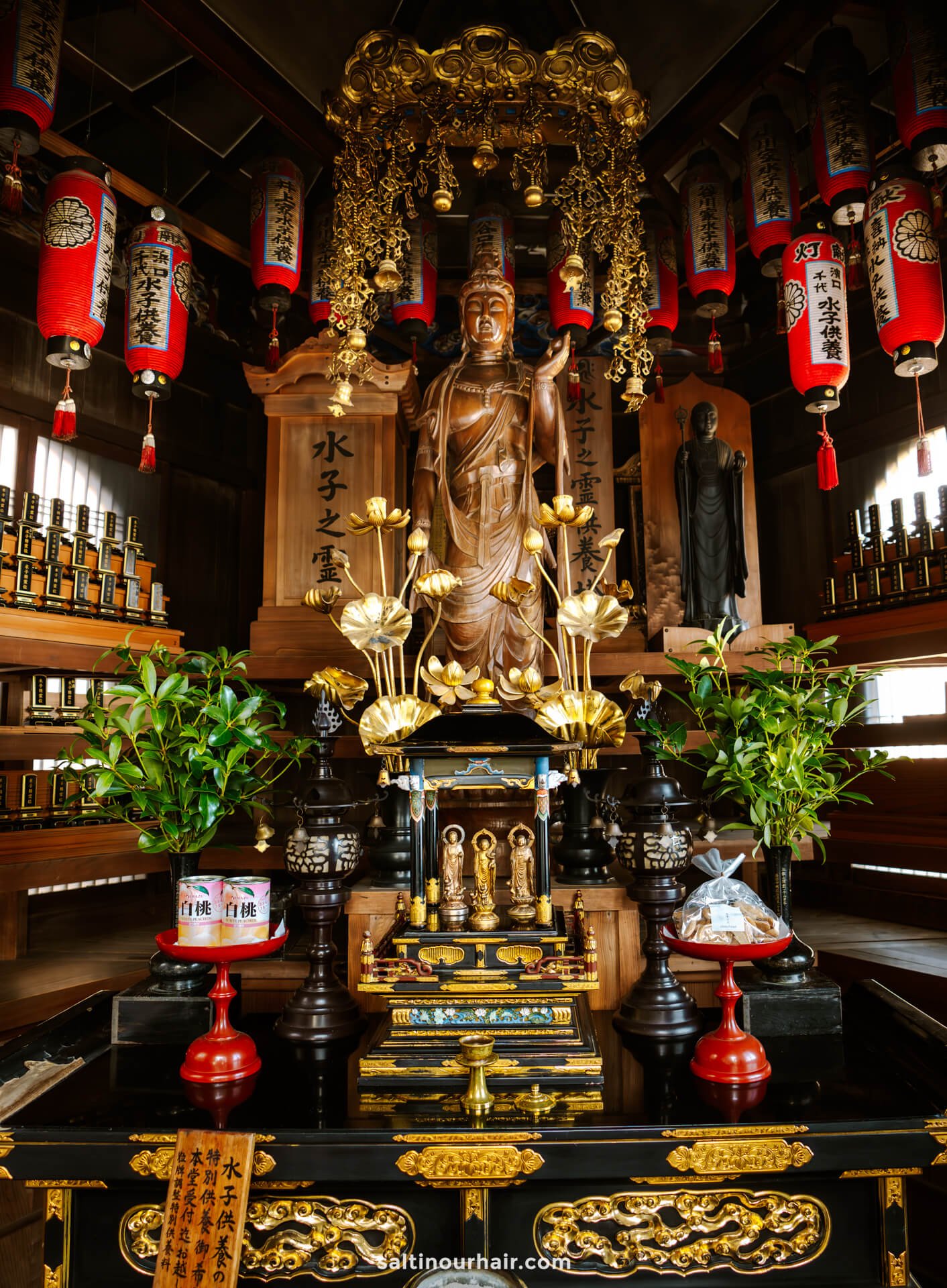 inside seiganto-ji temple nachi falls japan