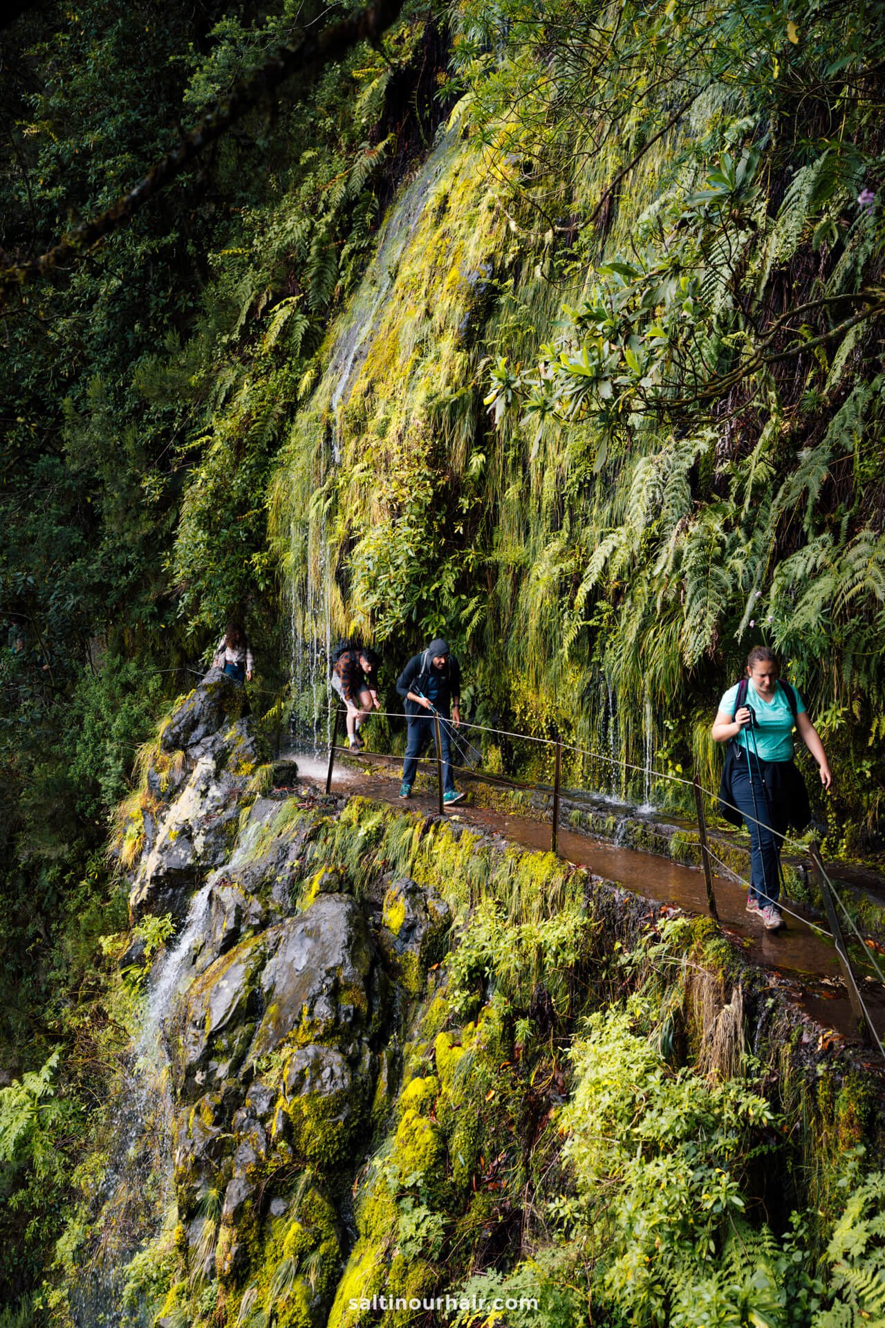 hiking trail Levada do Caldeirao Verde madeira