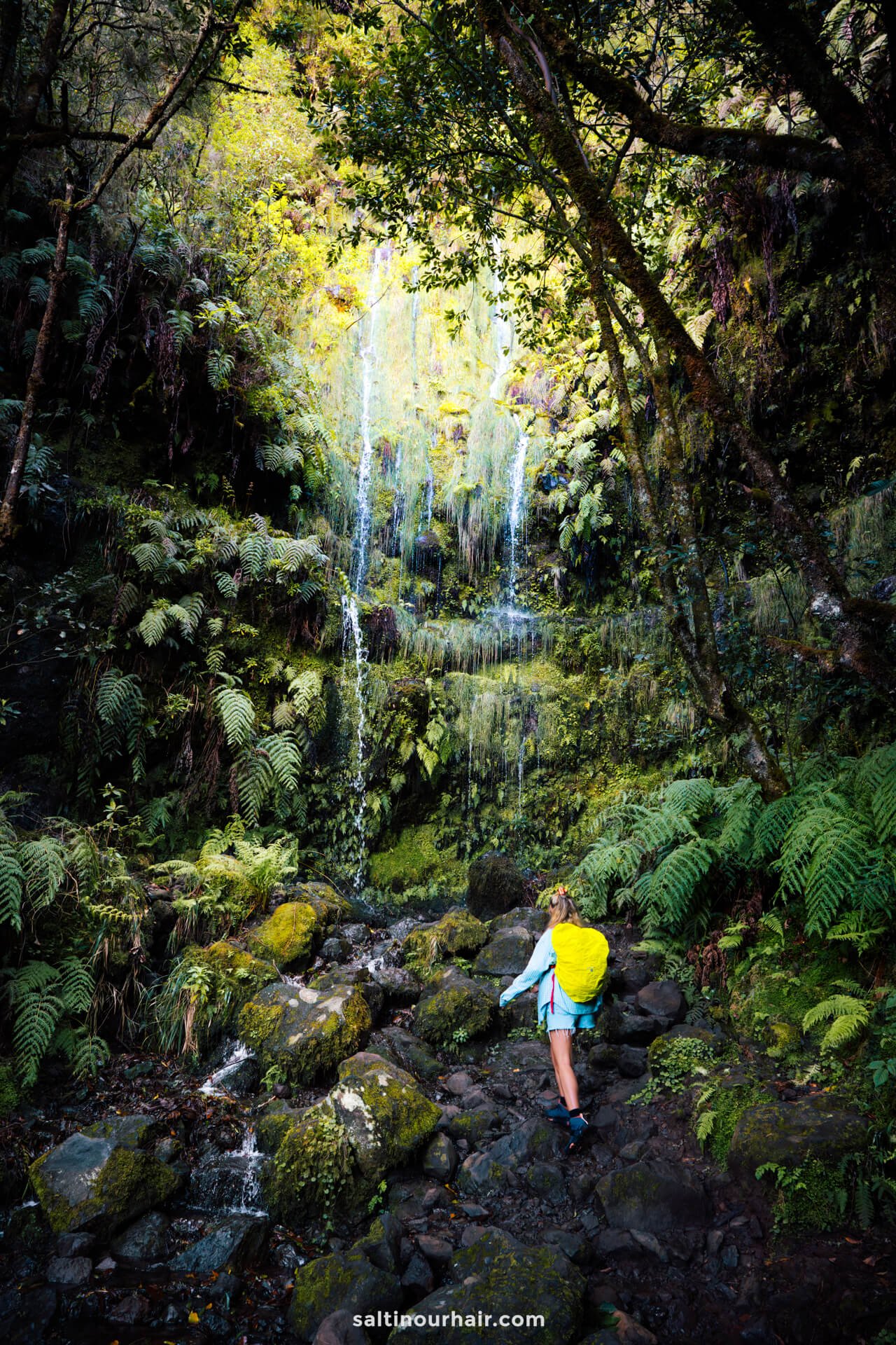 small waterfall Levada do Caldeirao Verde hike madeira