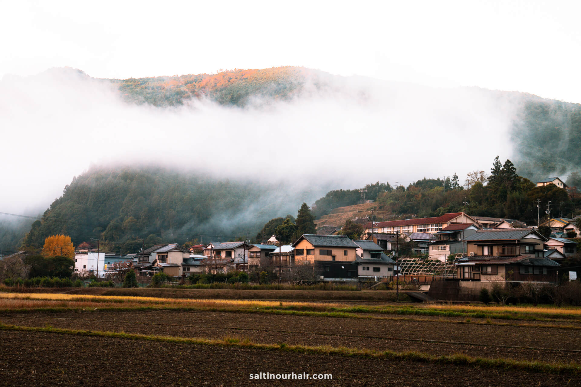 hotels near nachi falls japan