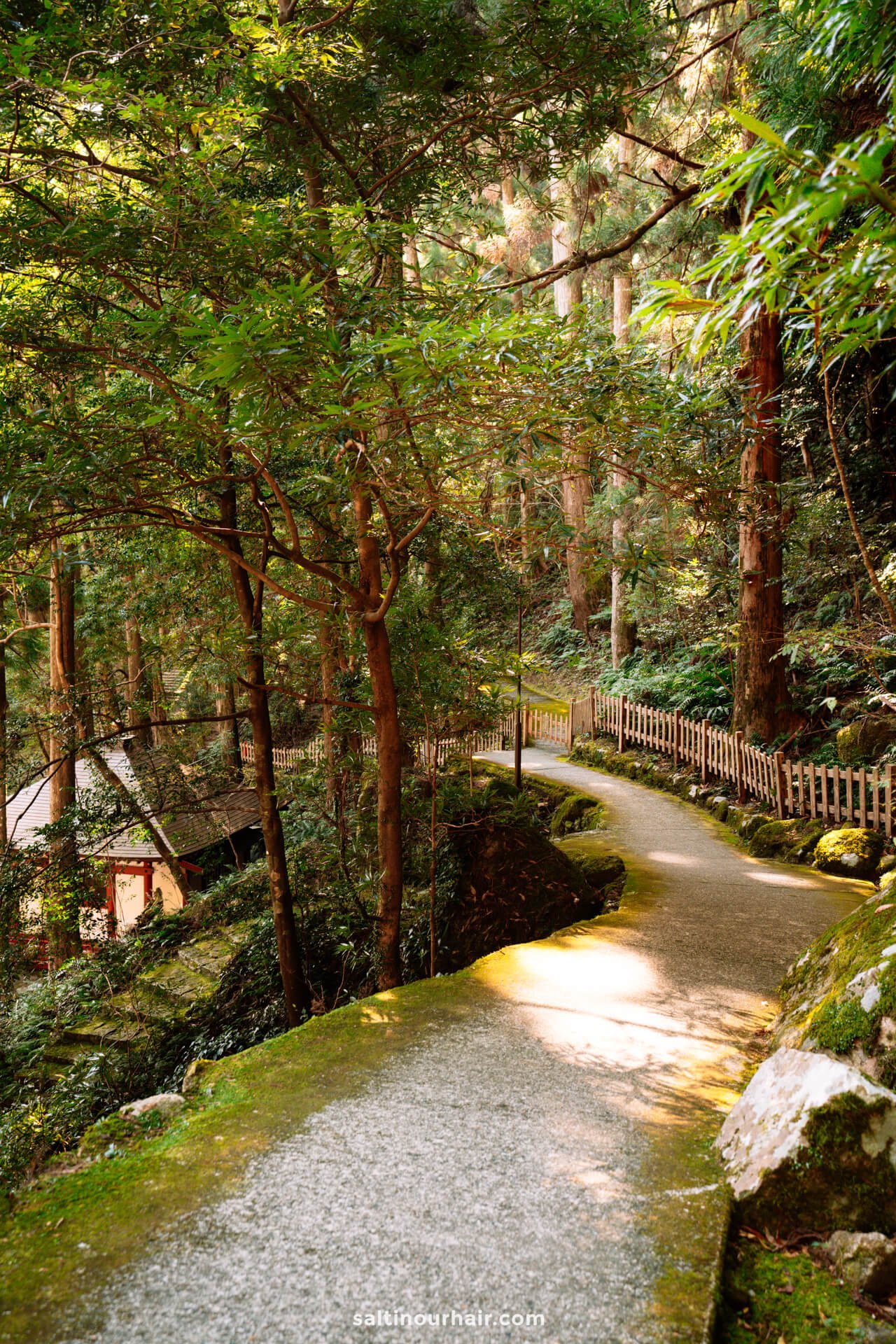 daimonzaka hike japan