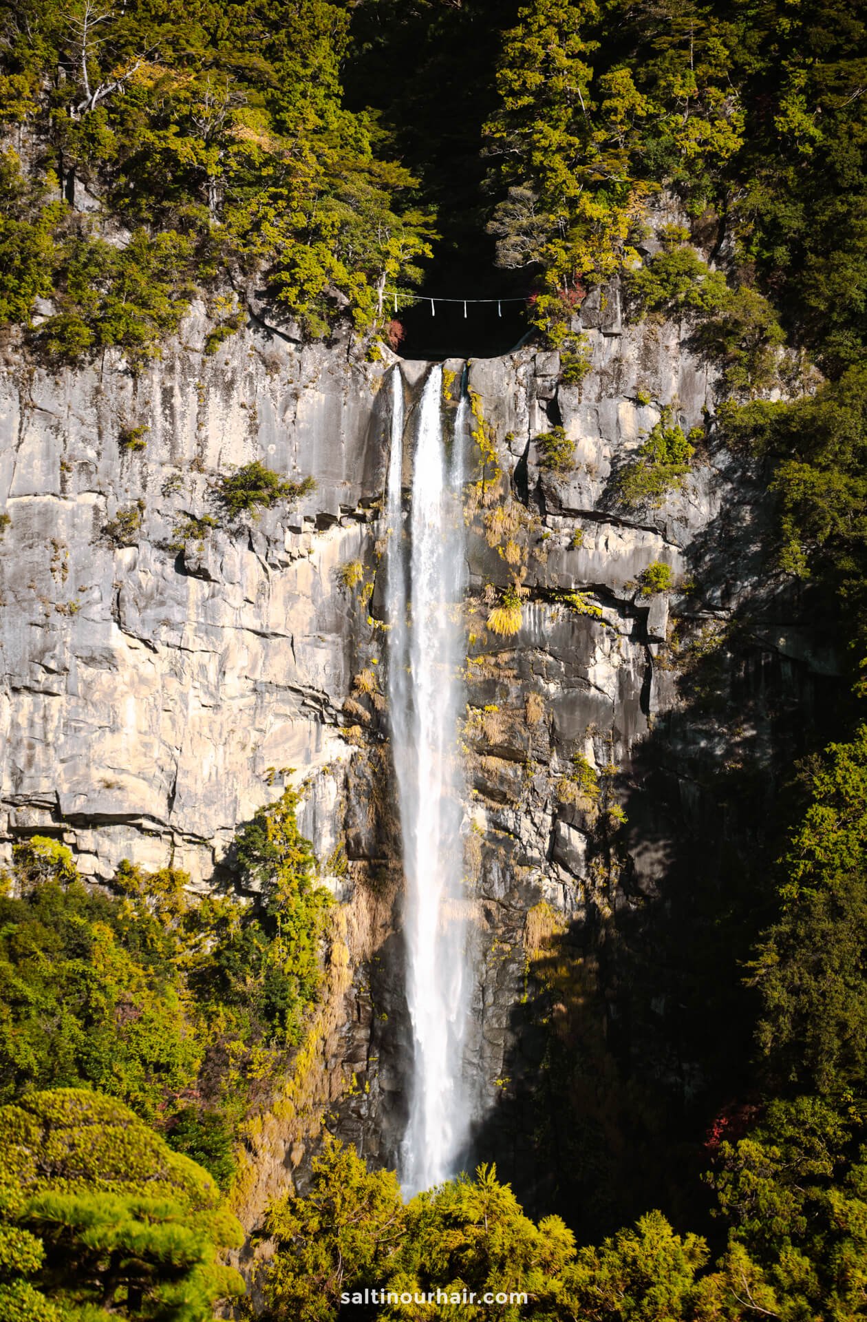 nachi falls japan