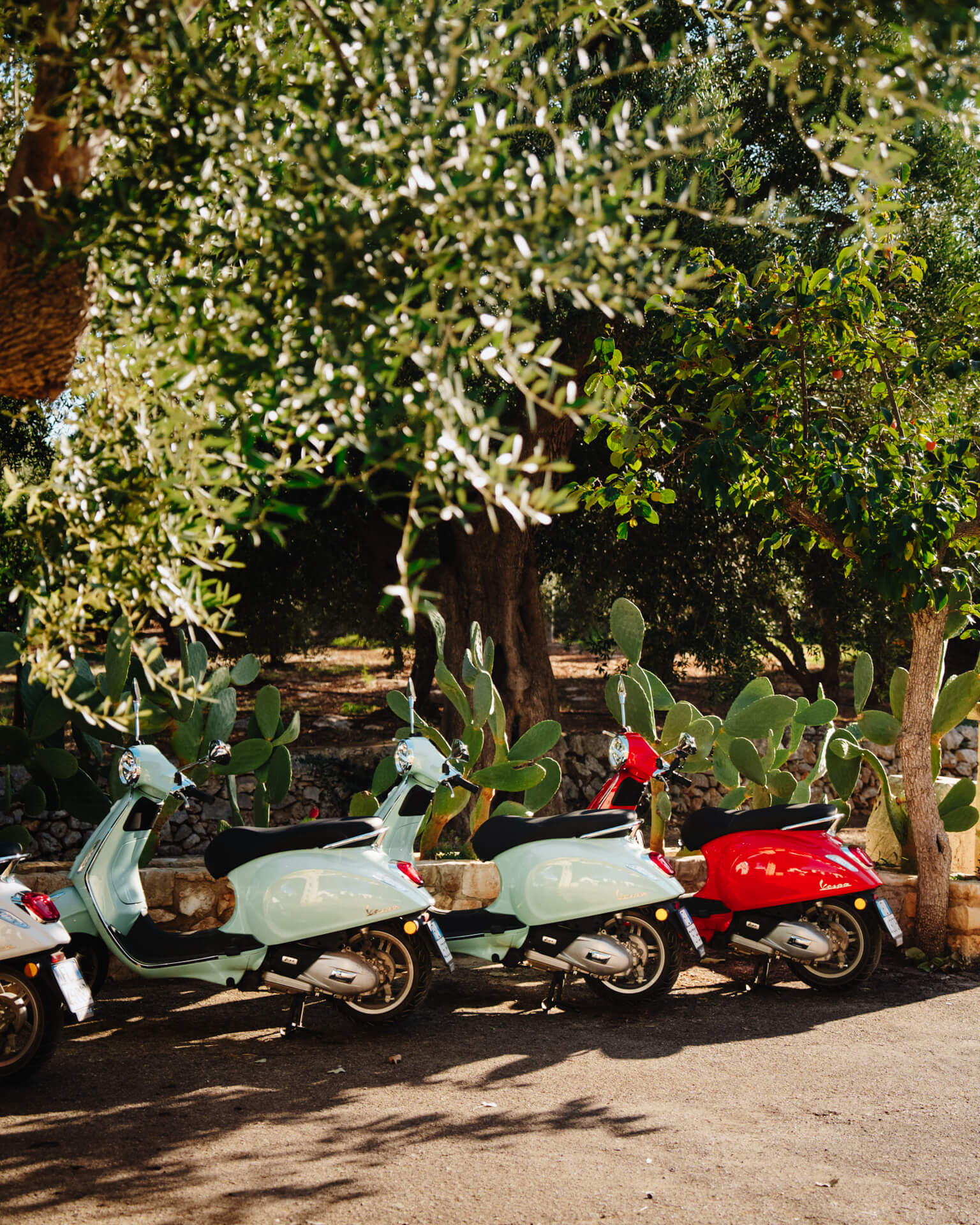 Vespa Tour Italy puglia