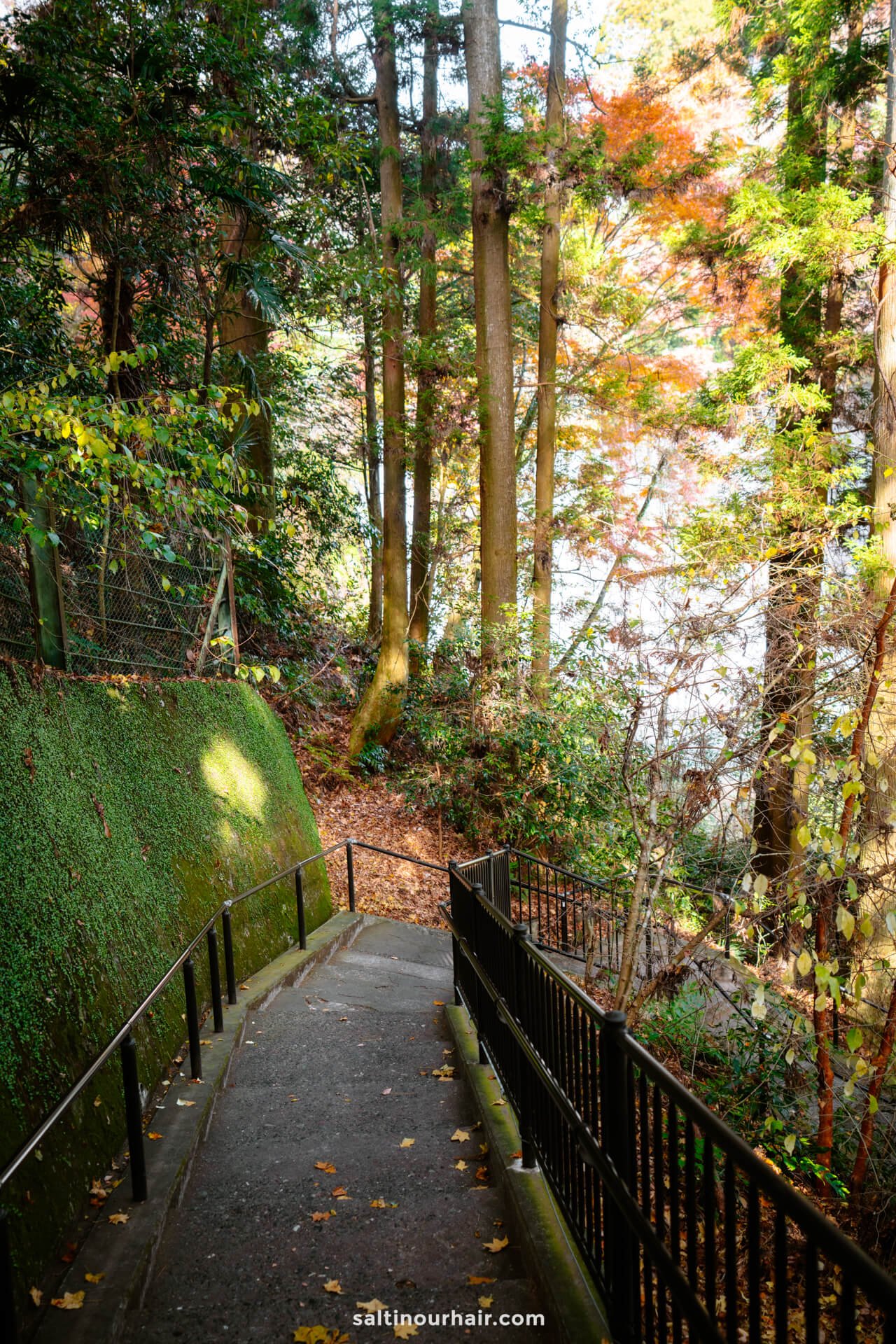 trail to Shiraito Falls japan