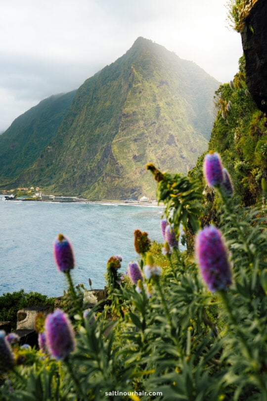 Purple wildflowers in the foreground with a large green mountain and coastal water in the background under a partly cloudy sky—scenes often found on the best hikes Madeira has to offer.