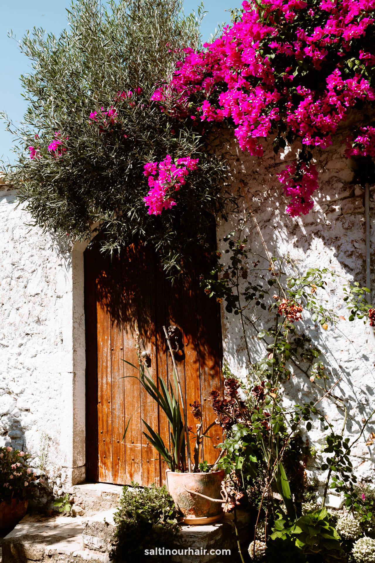 colorful pink flowers greece