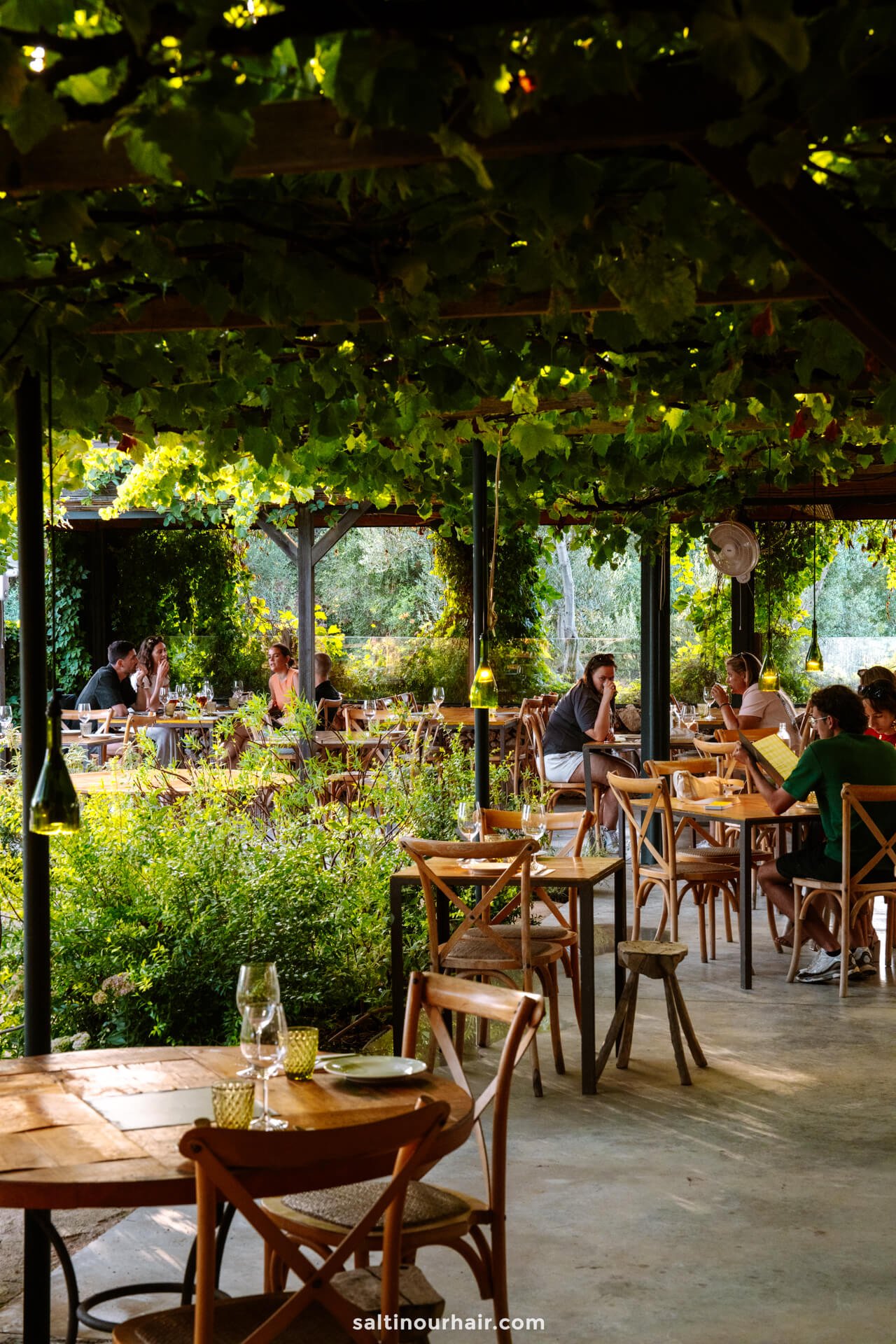 Charming outdoor restaurant Menorca with wooden tables and chairs, covered by a leafy vine canopy. People are dining and talking, surrounded by lush greenery and natural light.