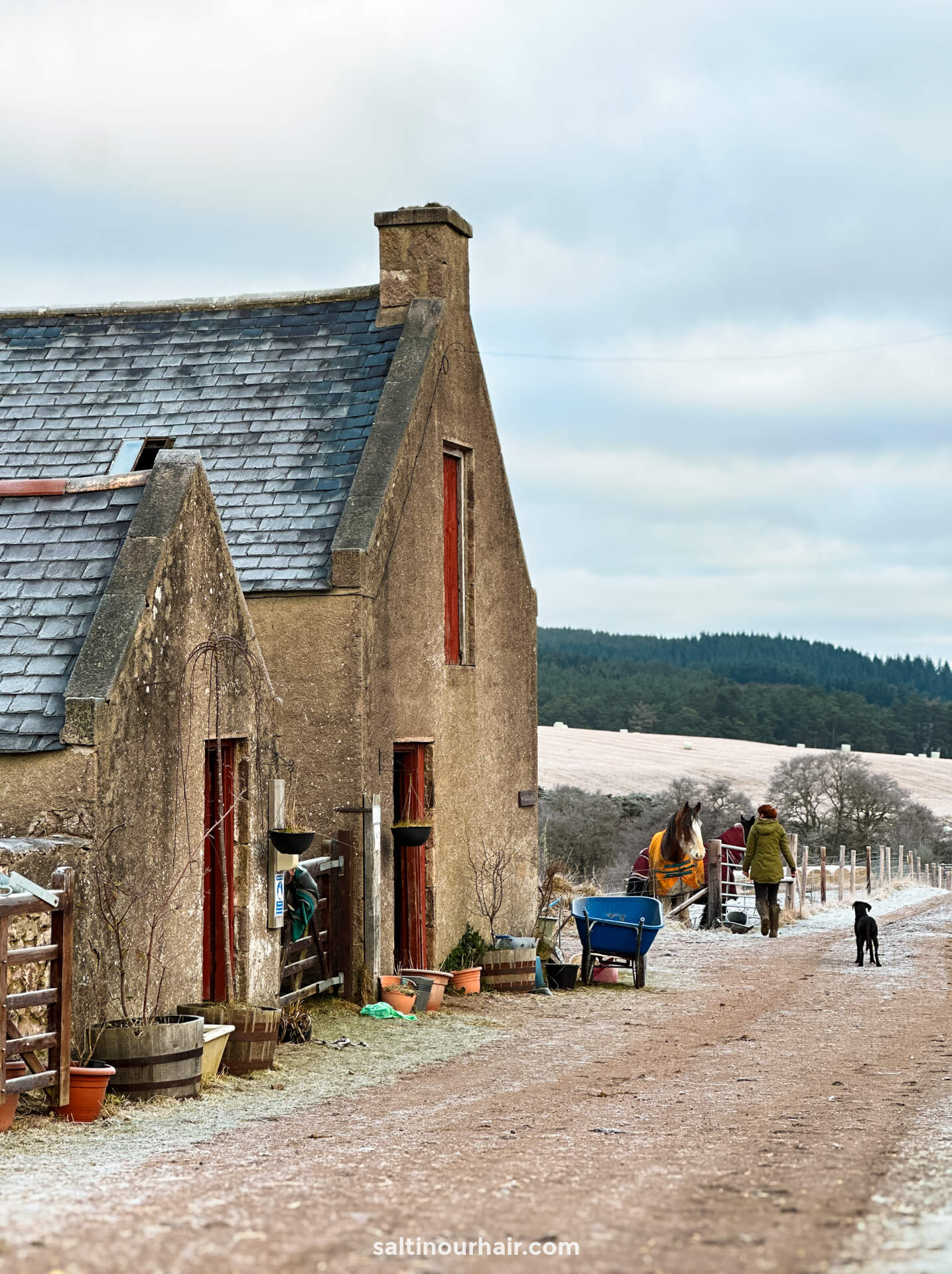 highlands unbridled horse care holiday scotland