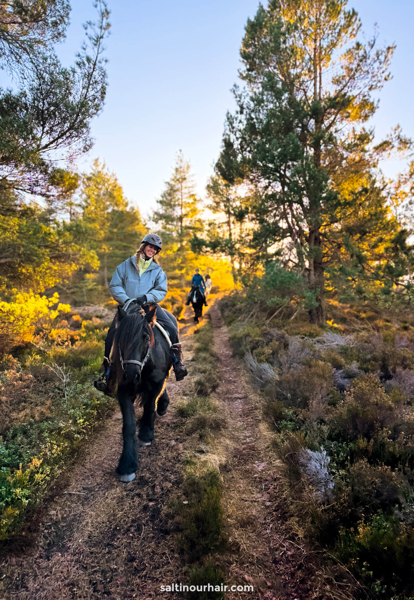 horseback riding scotland forest 