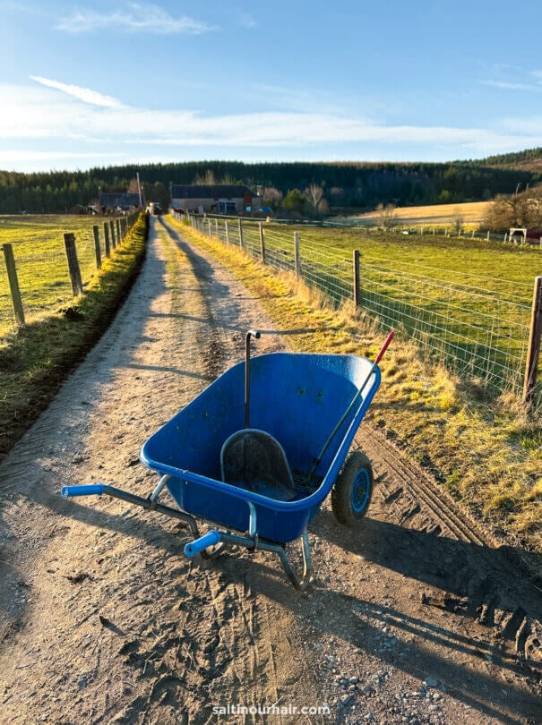 horse care holiday scotland