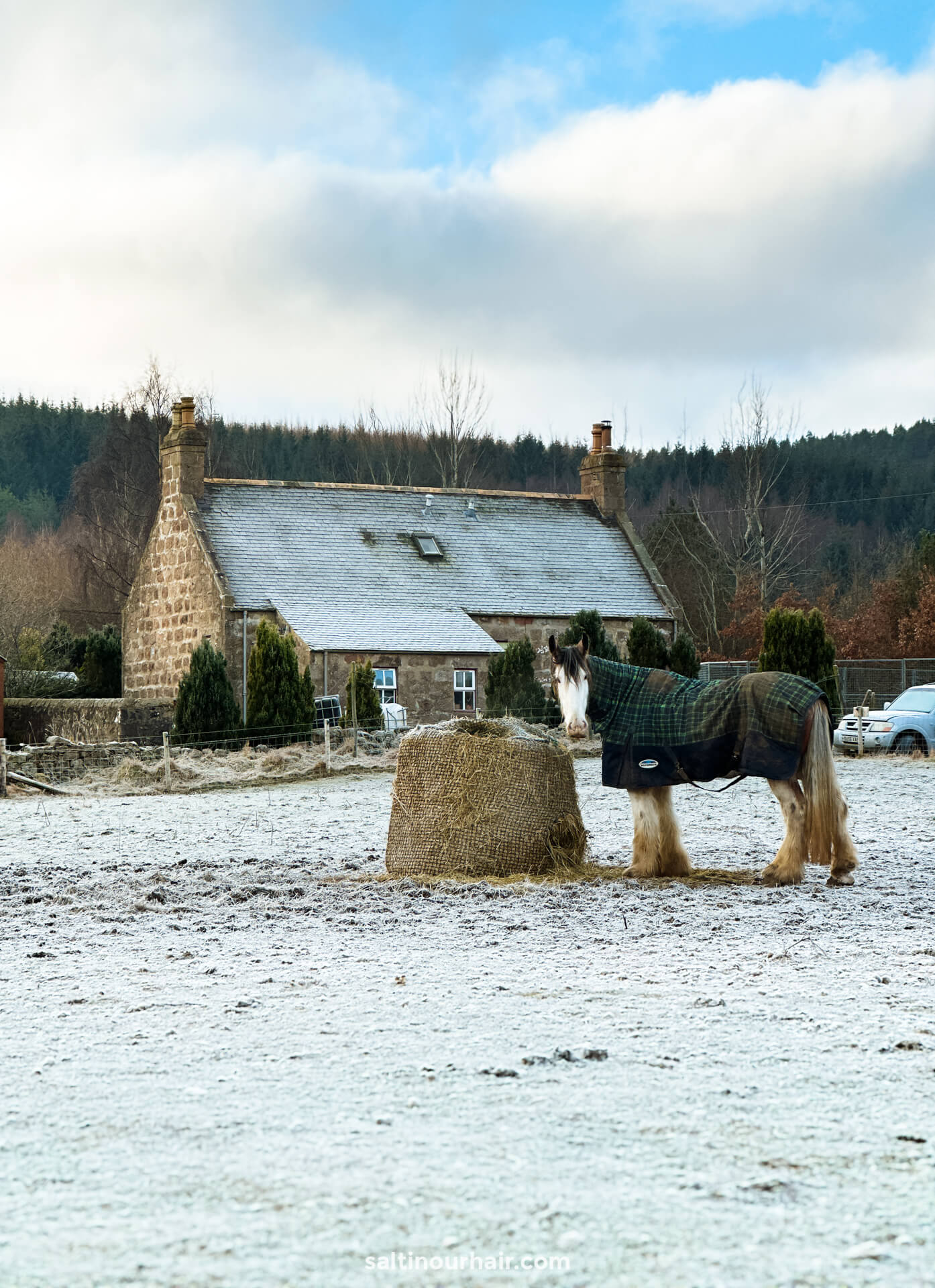 horse Scottish cottage