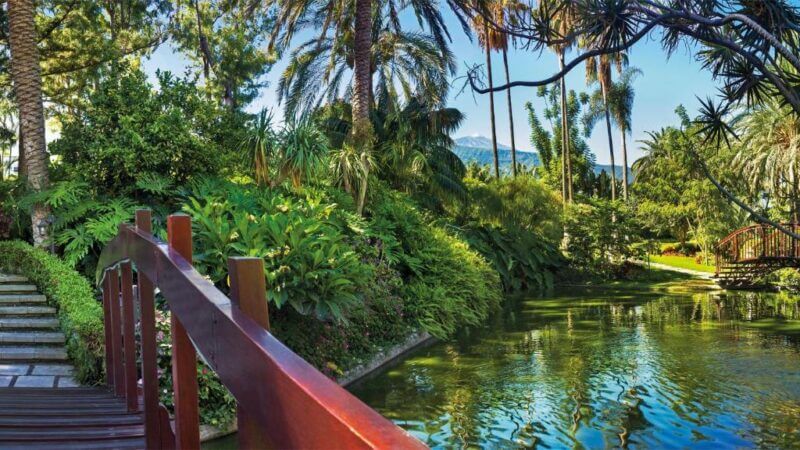 A wooden bridge crosses over a pond surrounded by lush green tropical plants and palm trees at Hotel Botanico in Puerto de la Cruz, with mountains visible in the background.