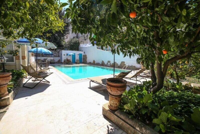 A small outdoor pool at Palazzo Altavilla is surrounded by lounge chairs, potted plants, and leafy orange trees in a sunlit courtyard in Ostuni.