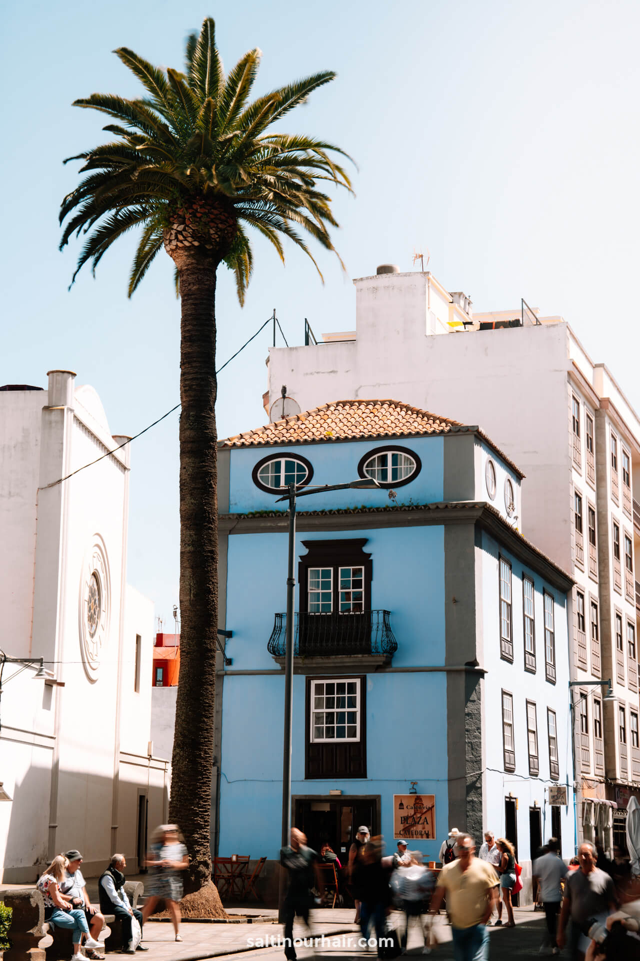 A tall palm tree stands next to a blue, three-story building with oval windows in San Crist&oacute;bal de La Laguna, Tenerife; people walk by on the sidewalk in front.
