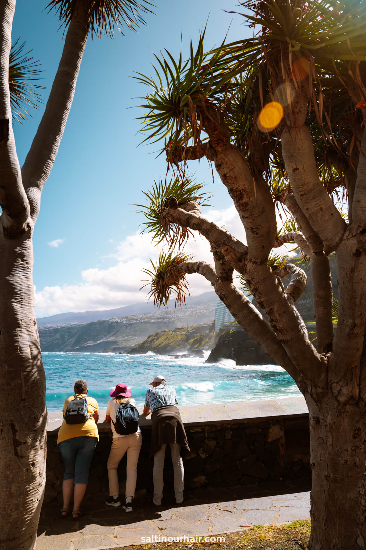 Three people stand at a stone wall overlooking the ocean in Puerto de la Cruz, Tenerife, framed by tall trees and coastal cliffs under a sunny sky with scattered clouds.