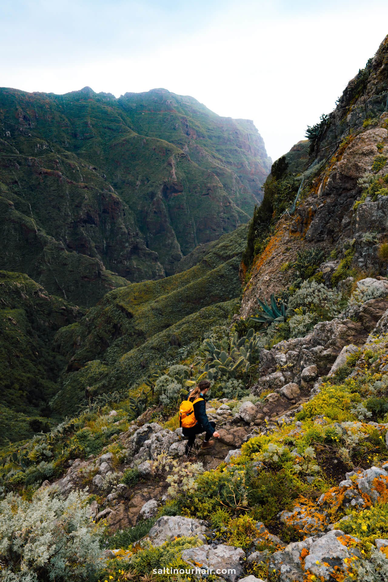 Een vrouw met een gele rugzak wandelt een rotsachtige, groene berghelling op in Anaga rural Park Tenerife, met steile kliffen en vegetatie op de achtergrond.