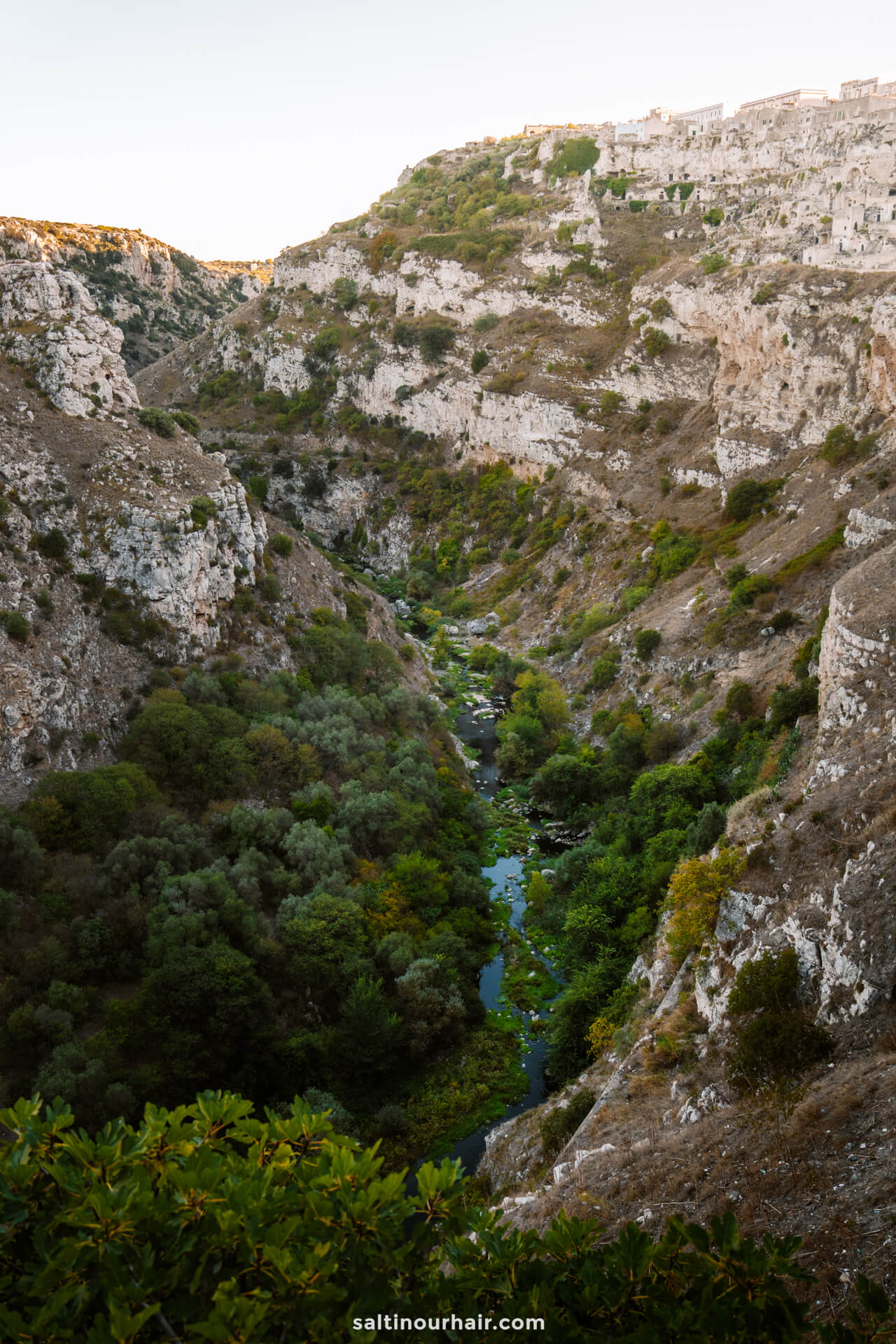 A deep rocky canyon in Matera, Italy, with dense green vegetation and a small stream running through the center, surrounded by steep cliffs and sparse hillside plants.