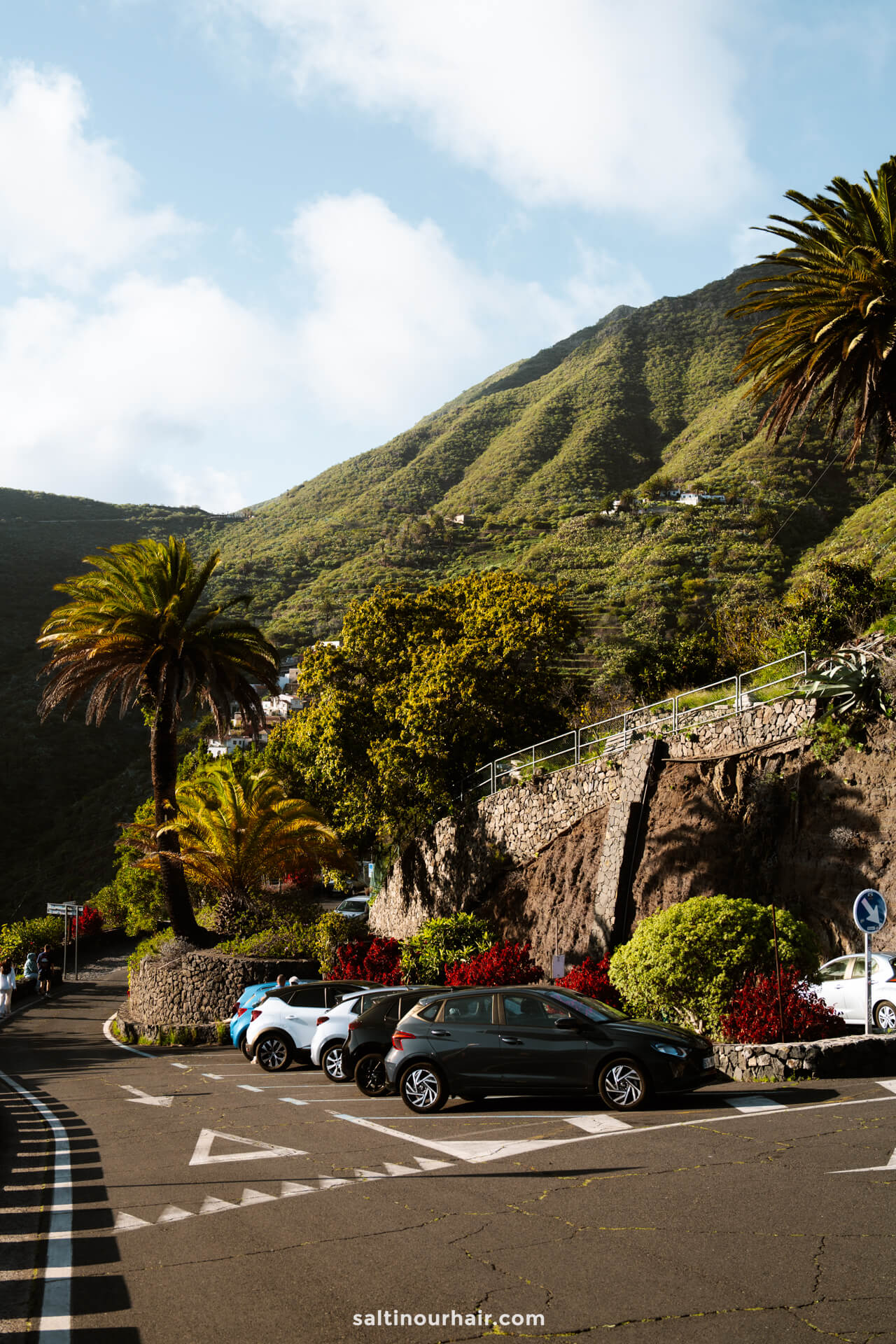 Cars parked along a road in Masca, Tenerife, bordered by palm trees and lush greenery, with steep, sunlit green hills rising in the background under a partly cloudy sky.