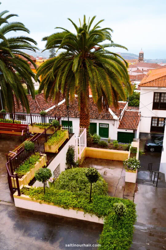 A courtyard with green bushes and potted plants, surrounded by white walls, overlooks tiled rooftops and a tall palm tree on a rainy day in a Spanish-style village in la orotava