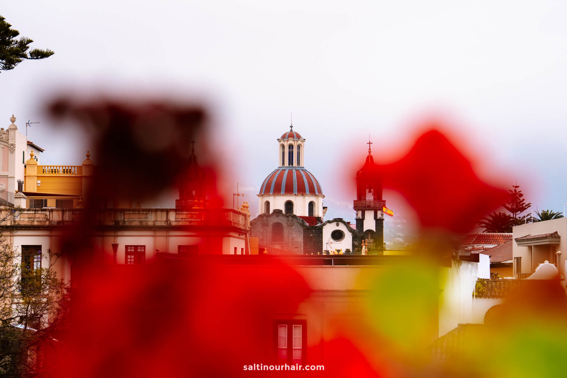 A distant view of a domed church and buildings in la orotava, partially obscured by out-of-focus red flowers in the foreground.