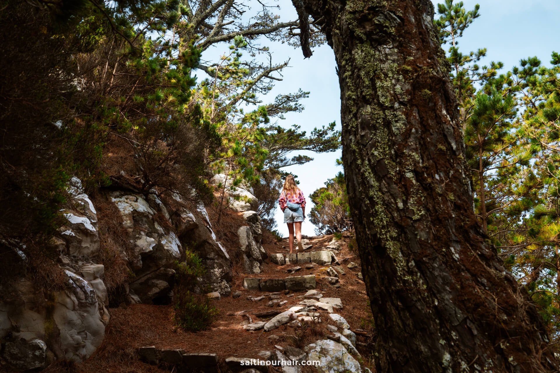 A person stands on a rocky forest trail surrounded by trees in Porto Santo, looking up the path on a partly cloudy day