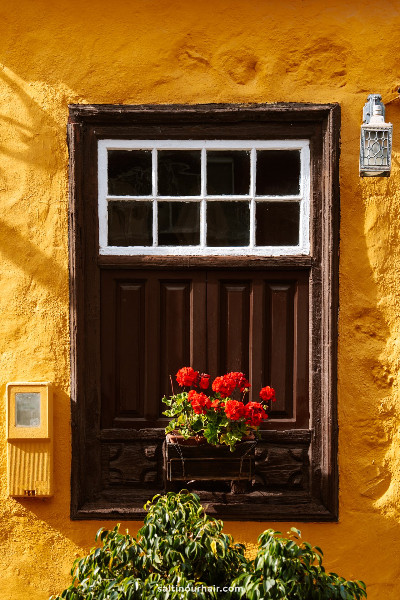 A brown wooden window with white trim on a yellow wall in Garachico, Tenerife, featuring a box of red flowers on the windowsill