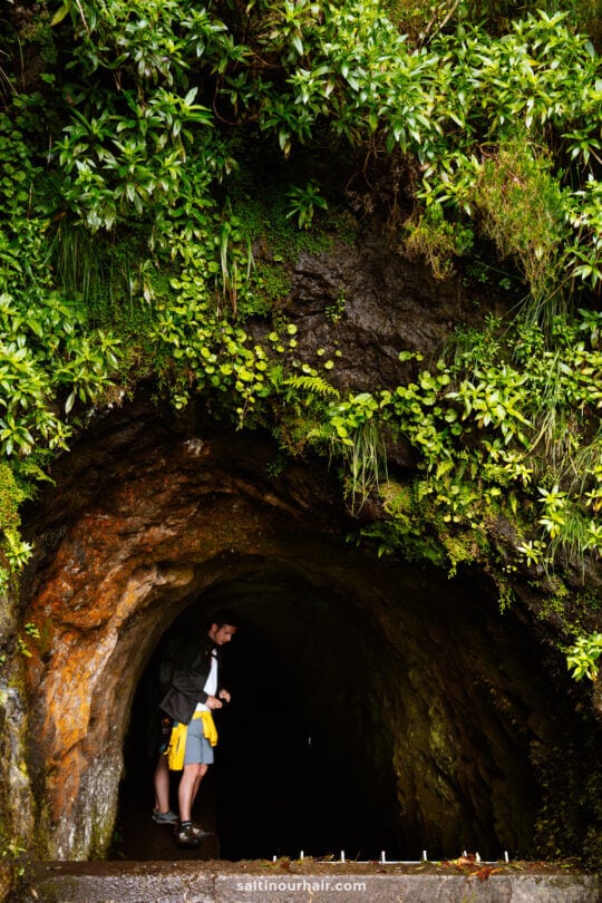 A person stands at the entrance of the dark pr17 madeira tunnel, surrounded by lush green plants and rocky walls.