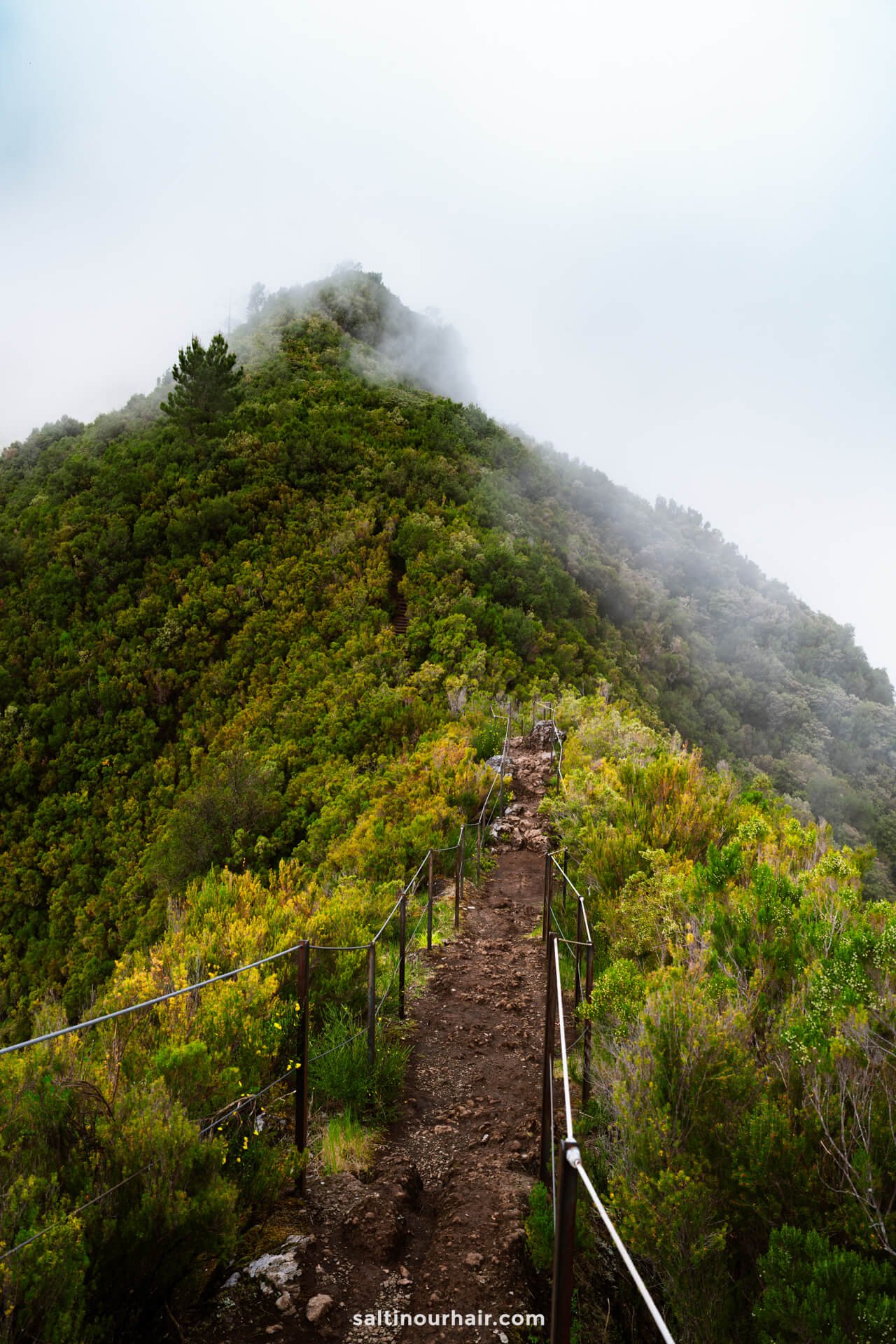 A narrow dirt trail with railings leads up a green, fog-covered mountain ridge under overcast skies along the scenic PR17 Madeira route.