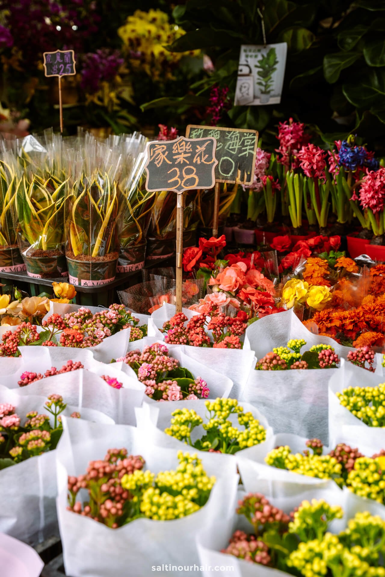 Bundles of assorted colorful flowers and potted plants for sale at an outdoor market, with handwritten price signs displayed