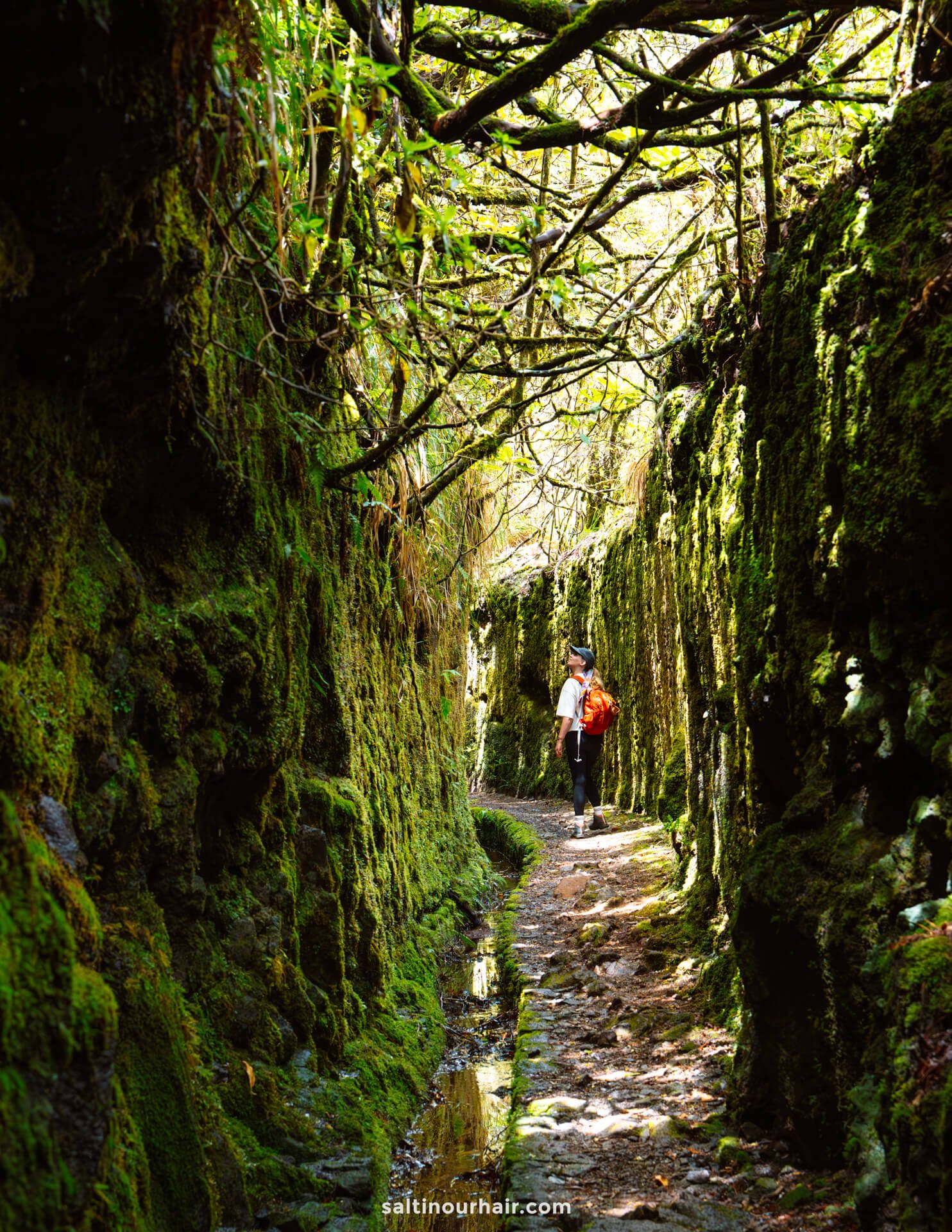 A woman with a red backpack walks along the moss-covered PR17 Madeira trail, winding between high rocky walls, as tree branches overhead frame sunlight filtering through.