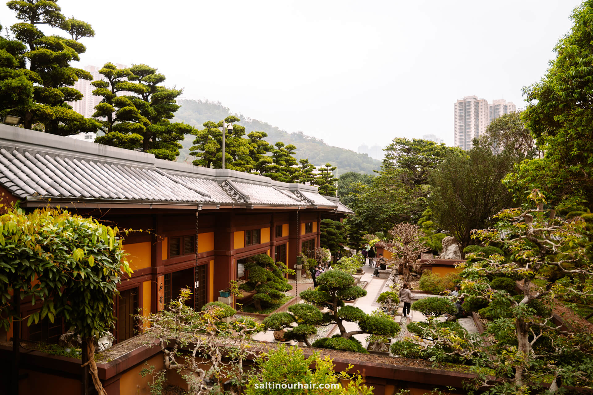 A traditional Asian-style building surrounded by manicured trees and shrubs, with high-rise buildings visible in the background