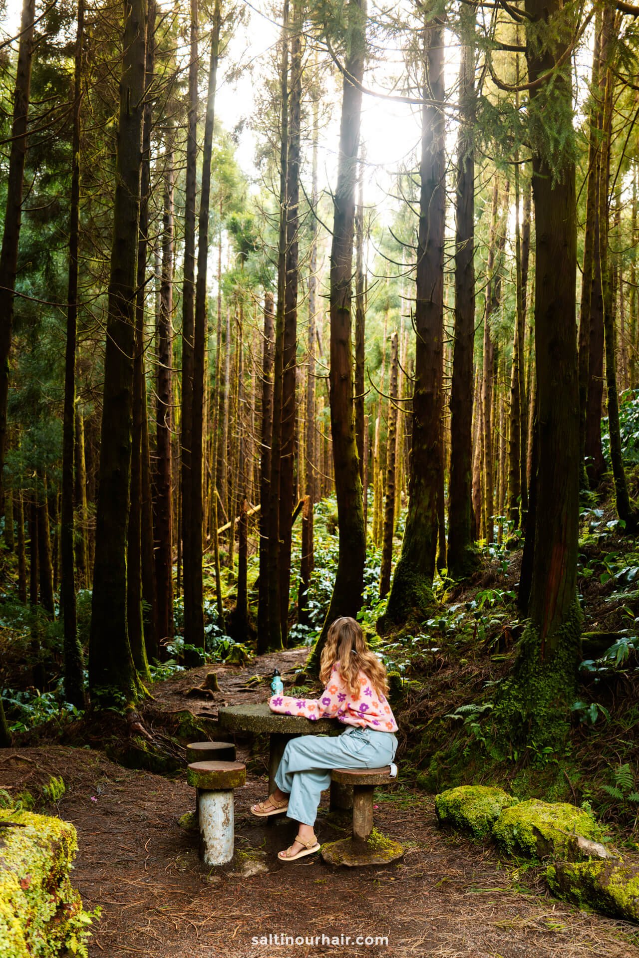A woman sits on a wooden bench at a picnic table in a forest surrounded by tall trees and sunlight filtering through the branchesâ€”one of the peaceful things to do in SÃ£o Miguel, Azores.