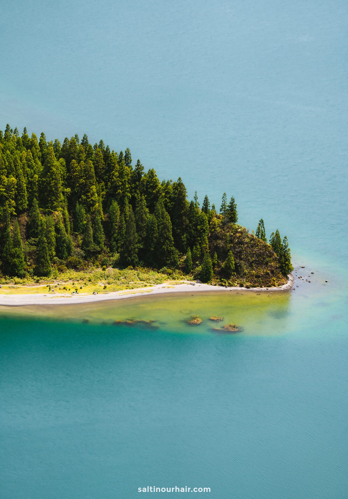 A forested peninsula with a sandy shoreline extends into clear blue-green water, viewed from aboveâ€”a breathtaking scene and one of the many things to do in SÃ£o Miguel for nature lovers.