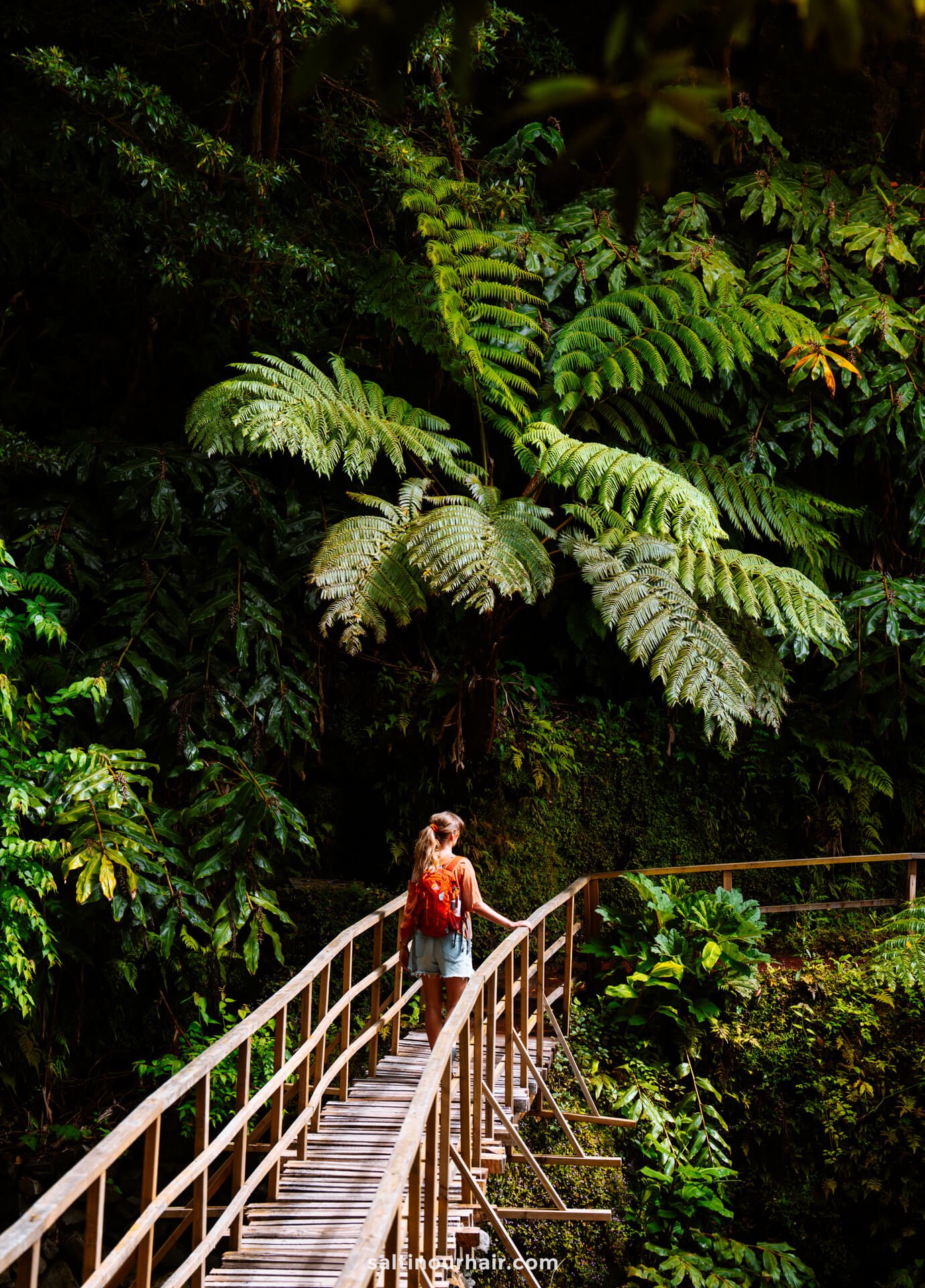 A woman with a red backpack walks on a wooden bridge, surrounded by dense green tropical foliage and large fern leaves while doing the Hike through Parque da GrenÃ¡â€”an idyllic moment among the many things to do in SÃ£o Miguel, Azores