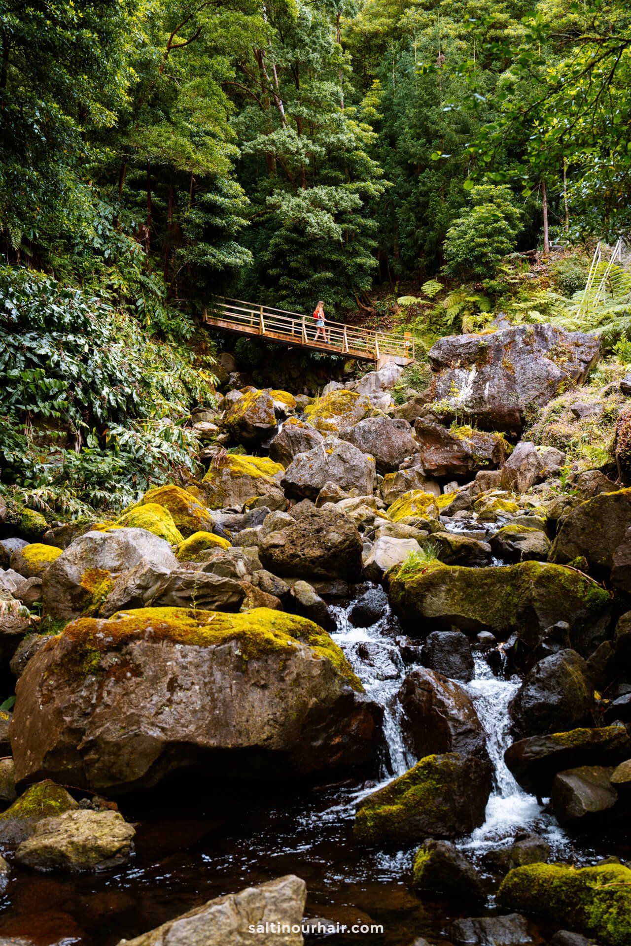 A woman walks over a small wooden bridge that crosses over a rocky creek with moss-covered boulders, surrounded by dense, green forest in Parque da GrenÃ¡â€”one of the enchanting things to do in SÃ£o Miguel, Azores.