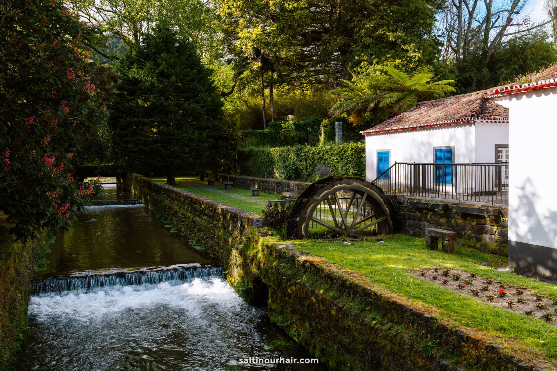 A small watermill with a wooden wheel sits beside a narrow stream surrounded by greenery and trees under daylightâ€”a peaceful scene in the town of Furnas, SÃ£o Miguel Azores.