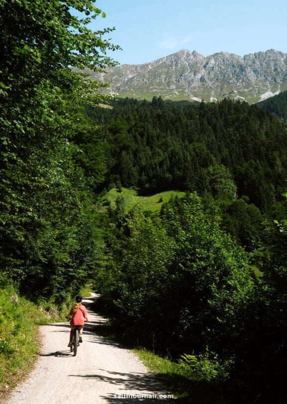 A person rides a bicycle on a dirt path through a forested area with mountains in the background under a clear skyâ€”one of the best things to do in Innsbruck.