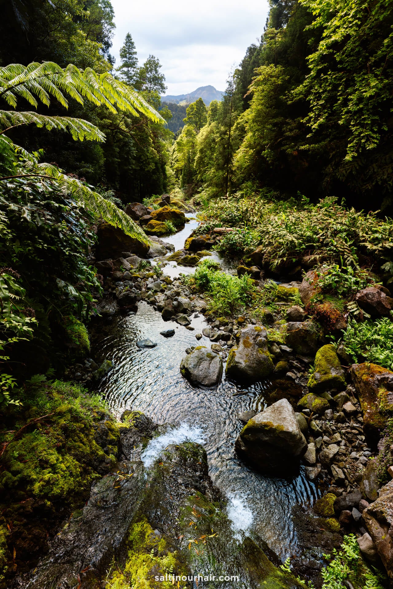 A rocky stream flows through a lush, green forest with dense trees and ferns under a partly cloudy sky—an ideal stop on any São Miguel itinerary.