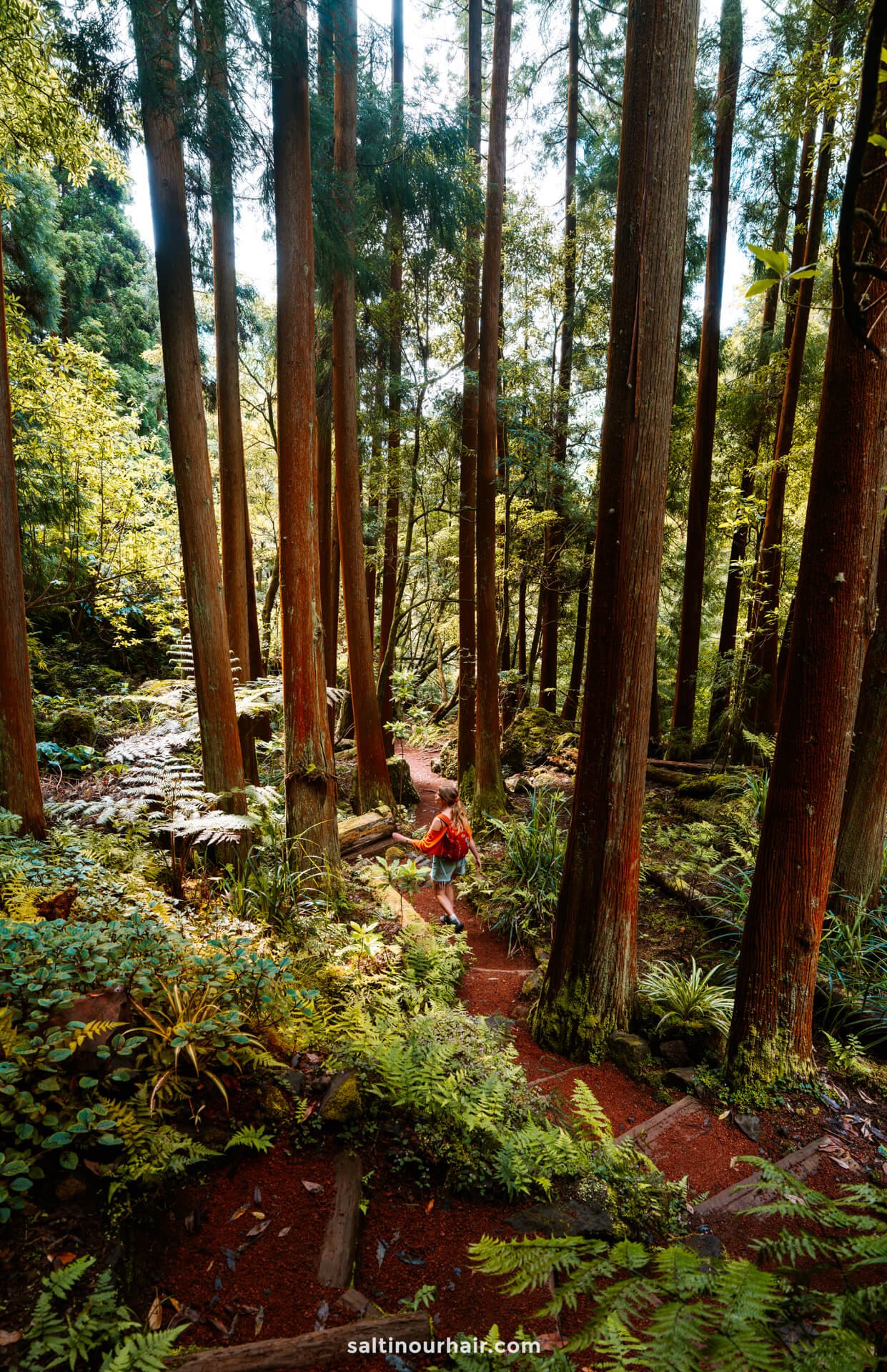 A woman in a red outfit walks along a winding dirt path surrounded by tall trees and dense green foliage—a perfect scene for those seeking things to do in Furnas’s lush forests.