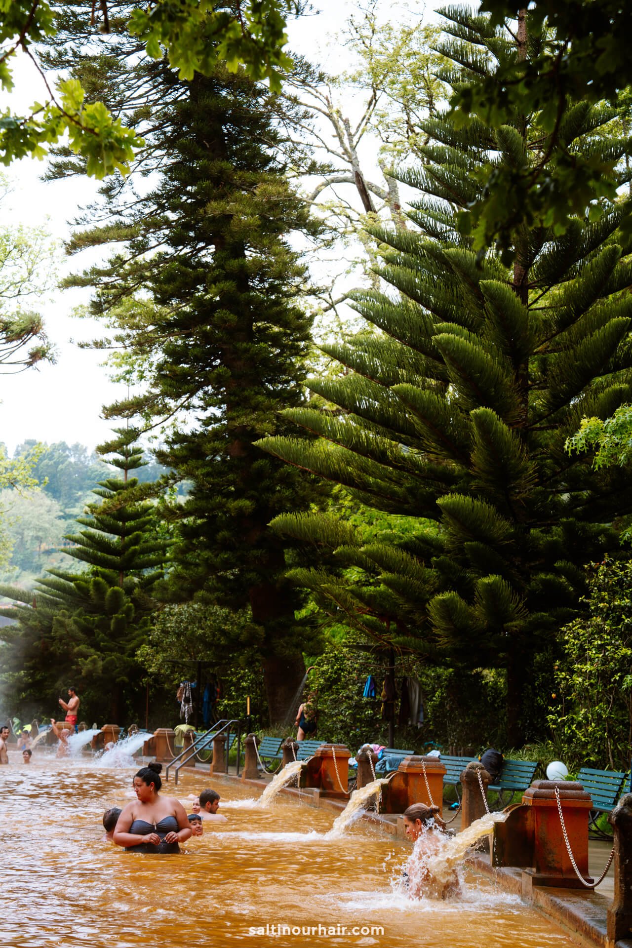 People swimming and relaxing in a large outdoor pool with reddish-brown water, surrounded by tall evergreen trees and water spouts along the edge—a unique highlight among the things to do in Furnas.