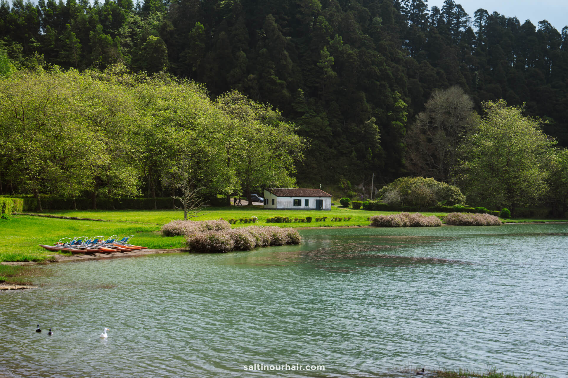 A small white house sits by a Lagoa das Furnas surrounded by green trees, with paddle boats on the grassy shore—perfect for relaxing and discovering things to do in Furnas.