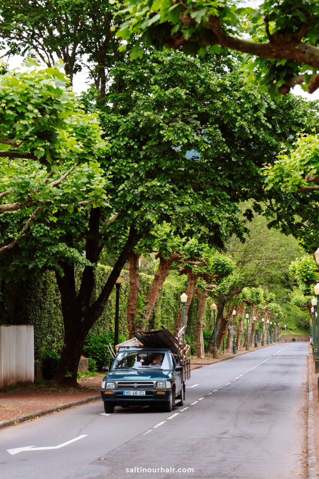 A small blue truck with cargo drives down an empty, tree-lined street under overhanging green foliage in furnas, sao miguel azores