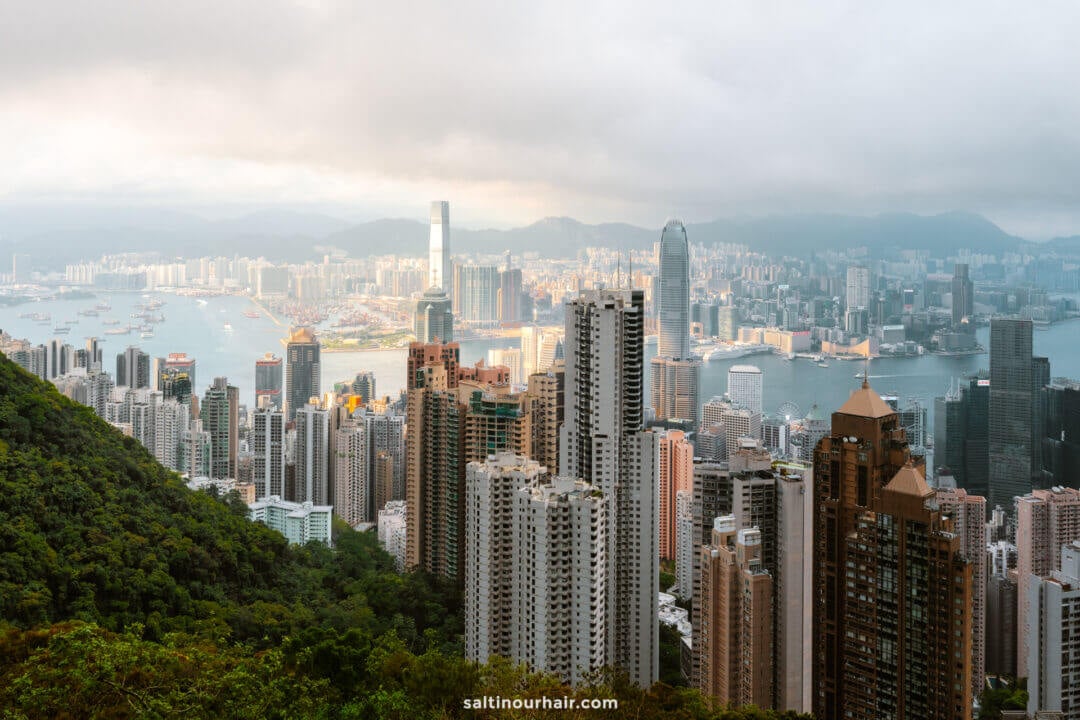 View of the Hong Kong city skyline with densely packed skyscrapers, Victoria Harbour, and mountains in the background under a cloudy sky