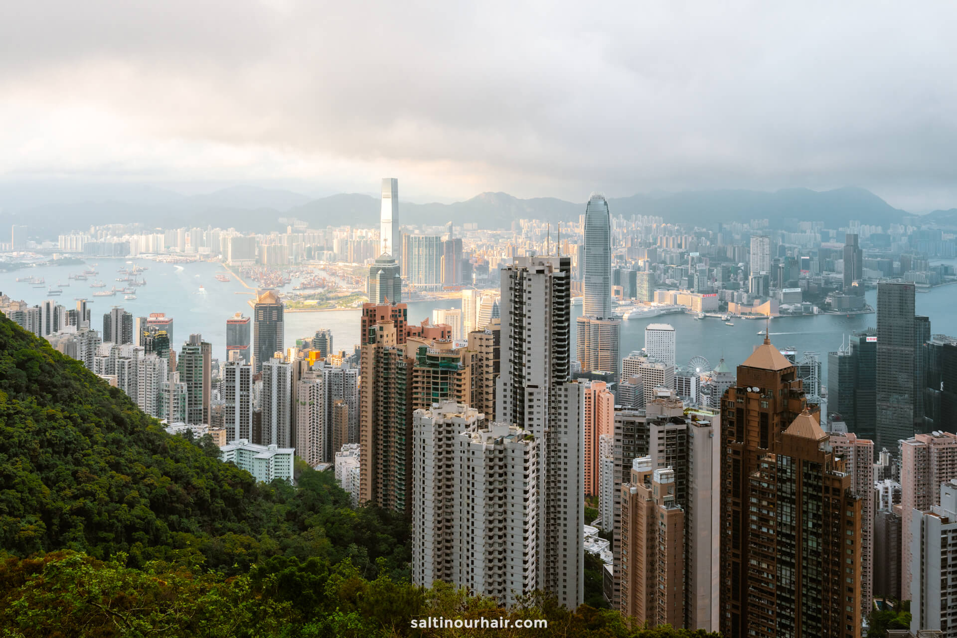 View of the Hong Kong city skyline with densely packed skyscrapers, Victoria Harbour, and mountains in the background from Victoria Peak