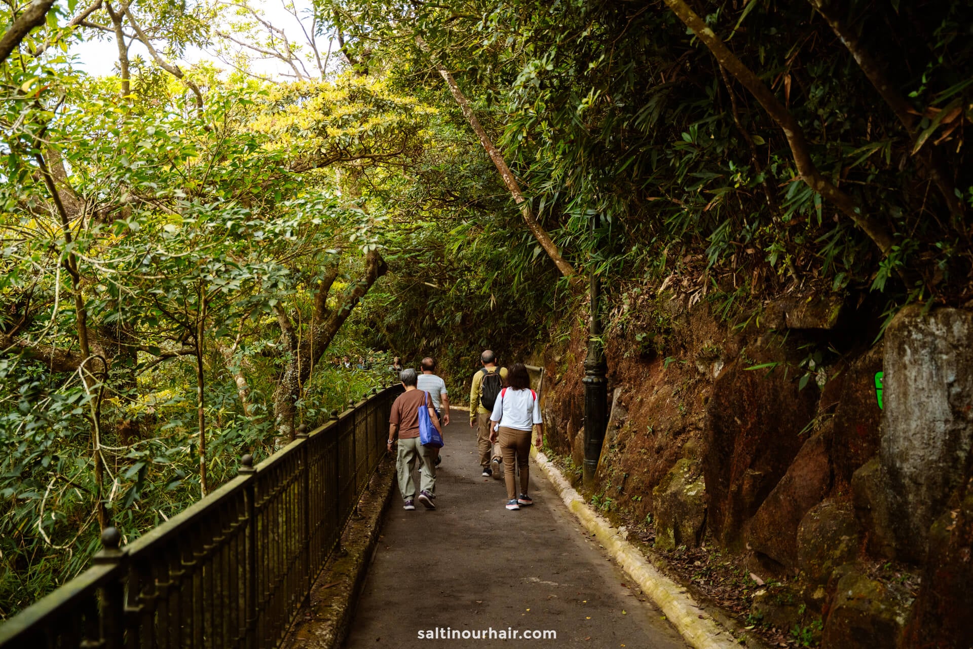A group of people walk along a paved path surrounded by dense green foliage and rocky terrain, an ideal scene for any Hong Kong itinerary.