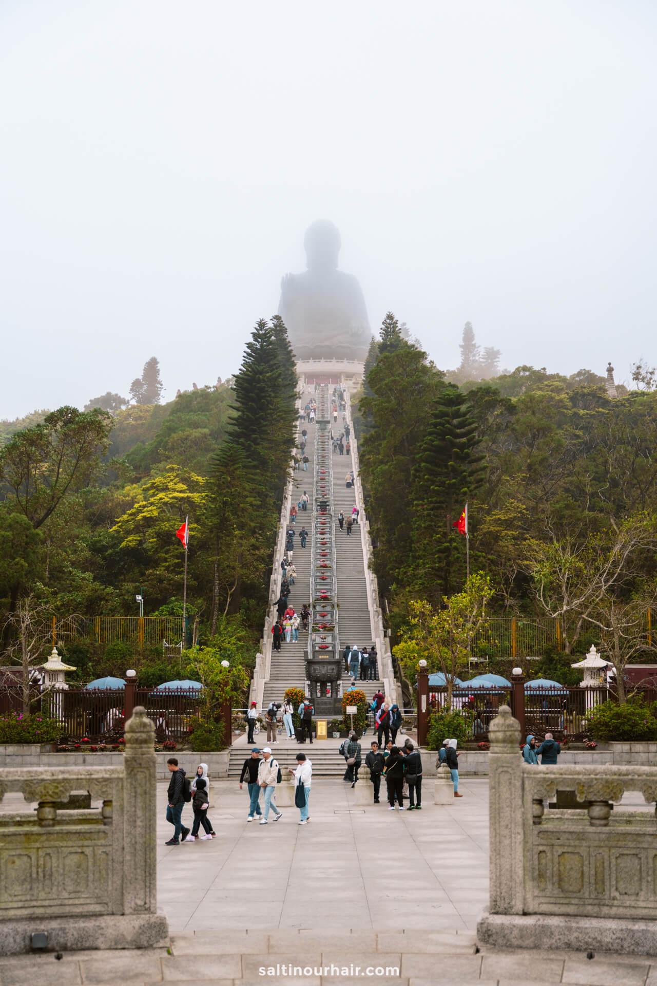A large Buddha statue sits atop a misty hill, a highlight for any Hong Kong itinerary, with a long staircase lined with trees and people ascending and descending.