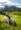 Seiser Alm, Dolomites: Our Top Tips for Visiting Alpe di Siusi