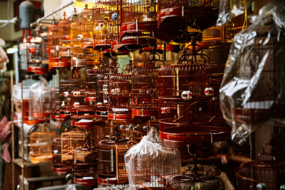 Several empty birdcages of various sizes and shapes are displayed closely together, some covered with plastic, in an outdoor market&mdash;a unique sight often featured in a Hong Kong itinerary.