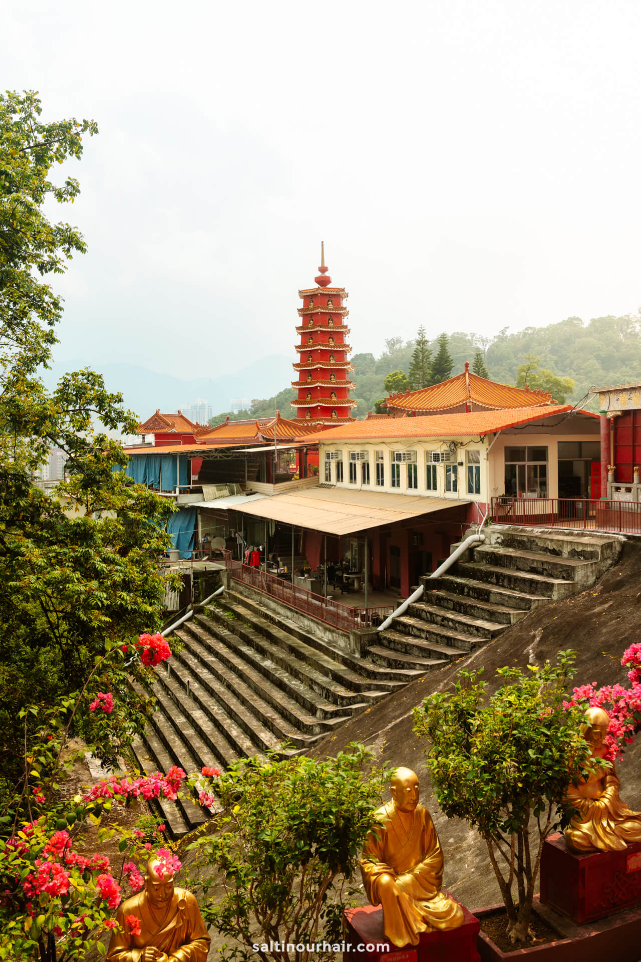 A tall red pagoda rises behind a temple complex with tiered steps, surrounded by greenery, flowering bushes, and gold Buddha statues&mdash;the iconic view of Hong Kong 10,000 Buddha Monastery.