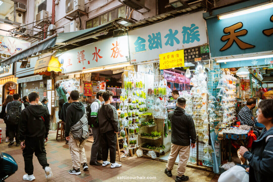 People walk past market stalls with plastic bags of water and live fish hanging for sale&mdash;an authentic scene to include on any Hong Kong itinerary. Signs with Chinese characters hang above the bustling shops in this urban street market.